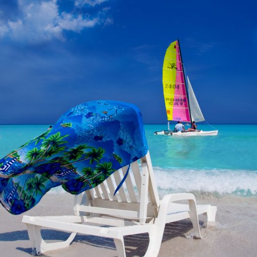 Caribbean Deckchair and Sailing Ship by Louise Gingras