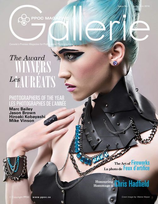 PPOC_Gallerie Magazine_June2014-06-24_Page_01