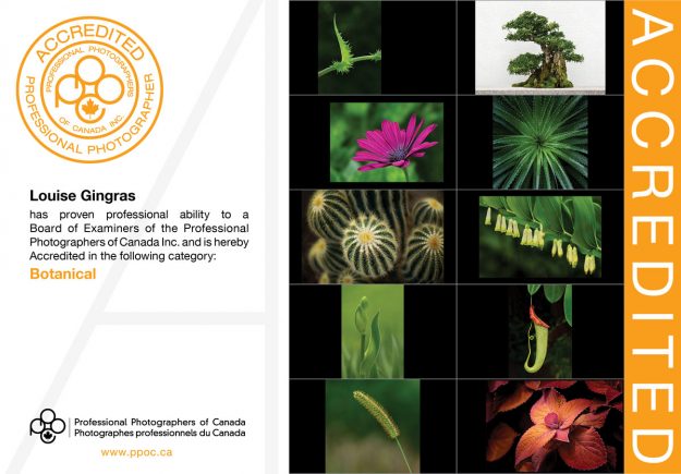 PPOC-Accreditation-Louise-Gingras-Botanical